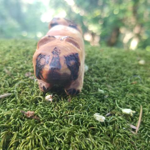 carved raccoon facing camera, showing the burn marks that define its eyes, nose, and mask