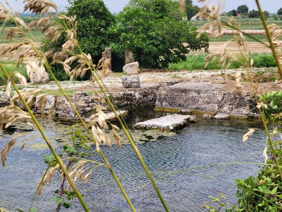 Stone remains of the shrine next to a  pool of water, now overgrown with grasses and vegetation. 