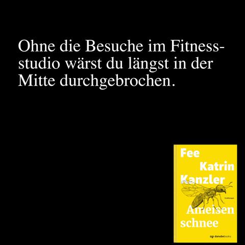 Folgendes Zitat aus Fees Erzählungsband »Ameisenschnee« in weißer Schrift auf schwarzem Grund: Ohne die Besuche im Fitnesstudio wärst du längst in der Mitte durchgebrochen.