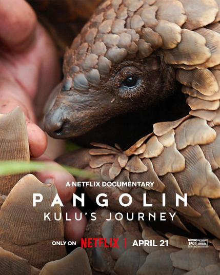 The poster for Netflix's Pangolin: Kulu's Journey, a Netflix documentary. Only on Netflix. April 21. Rated PG. A picture of Kulu the pangolin is featured.