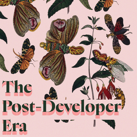 Green text with pink shadow on lilac pink background with insects and plants:
The Post-Developer Era