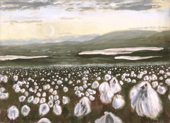 Oil painting on canvas of open fields, planes and hills that are dull green, covered with white plumes of cottongrass. Far away are flat lakes and faint distant mountains under a pale yellow sky, which is bluer at the top with a few gray clouds.