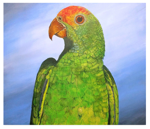 'Talkative Parrot'
Medium: Acrylic on canvas
Size: 34.200 x 40.000 x 1.400 inches
artist: Phalguni Roy

https://fineartamerica.com! https://fineartamerica.com/featured/talkative-parrot-phalguni-roy.html

#art #fineart #Creator #animal #birdlover  #parrot #artmoots #AcrylicOnCanvas #curator #ART_PUT #green #PhalguniRoy #creativetoots #artist #painting #birds #birdphotography #collector #auction #artwork #parrot #hyperrealistic #fineartamerica 