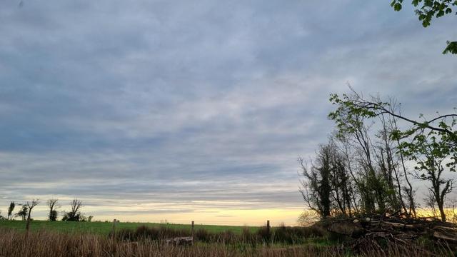 Sunrise in cloudy sky behind trees/ Sonnenaufgang in bewölktem Himmel hinter Bäumen