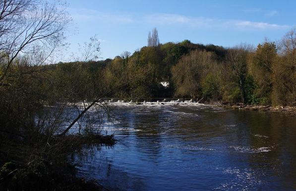 A photo titled "IMGP4695", taken near Sprotbrough Towpath (Horse) Footbridge by mattbuck4950 on Flickr.
