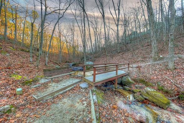 A small wooden bridge spans a shallow creek in a forest with bare trees.