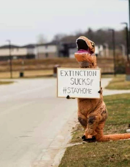 Person in a dinosaur costume by the side of the road holding a sign that reads" Extinction Sucks!! #STAYHOME