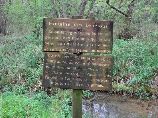 légende gravée sur un panneau au bord d'une source.
fontaine des lébérous.
Selon la légende, les lébérous seraient des hommes qui le soir venu, se rendraient à la fontaine et se transformeraient en mouton ou en lièvre. Pendant la nuit, ils devaient parcourir 7 paroisses et passer sous 7 clochers, et si au chant du coq ils n'avaient pas rejoint la fontaine, ils resteraient mouton ou lièvre à jamais.
