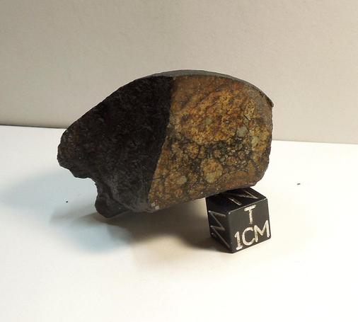 Unclassified NWA meteorite with brecciation.