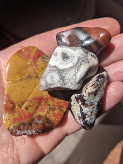 Three rocks in my hand. On the left is jasper, I think, in lurid yellow and red tones, the middle is a banded grey and white possibly agate, and then on the right is a rock of dark and light tones that I like for no apparent reason.