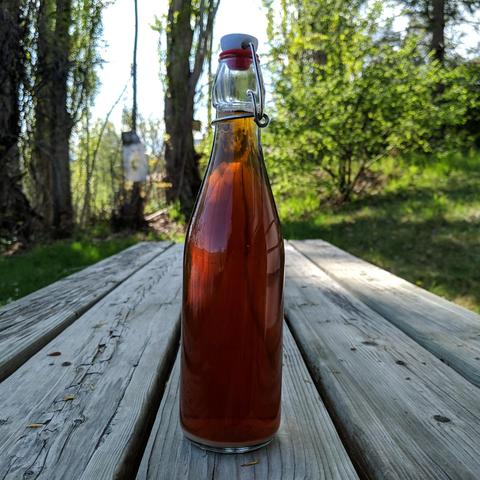A photo of a US pint swing top bottle that has Scottish ale in it. The color is sort of a medium reddish brown.. or I'd say dark amber but maybe I don't know what amber color is. I don't care, it's nice and clear after 2 days of being bottled from the first pull which technically was a push of a party faucet filling wand/hose.