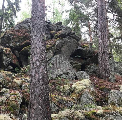 The top of the hillfort