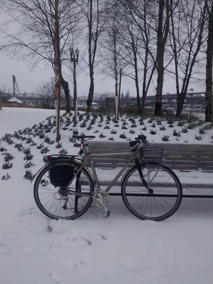 my bike leaning against a bench covered in some snow with snow on the ground as well, which is rare for Portland.