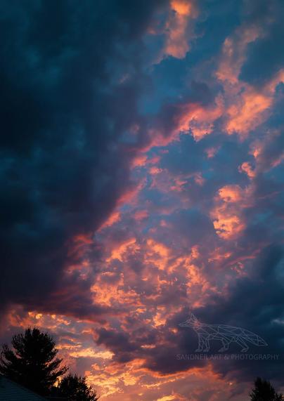 A dramatic sunset sky filled with textured, billowing clouds lit in fiery orange, magenta, and deep purples. The right half of the sky glows with light, while the left is shaded by approaching storm clouds. Silhouettes of tall pine trees and rooftops frame the bottom edge of the photo.