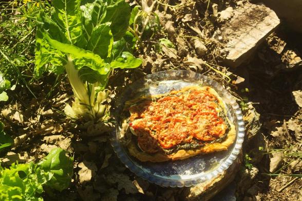 Homemade Pizza:
I made a quick bread dough (flour, salt, baking powder)...
Next, I sautéed garden herbs in a Dutch oven: Swiss chard, cabbage, wild chard, sorrel, and three-cornered garlic with oil, salt, and pepper. To thicken it into a sauce, I added a bit of water mixed with flour at the end...
I sliced and arranged thin rounds of zucchini, then finely diced some red bell pepper and scattered it on top...
After that, I sliced tomatoes into rounds, layered them on, and sprinkled freshly chopped thyme and rosemary from the garden...
Finally, I grated some Emmental cheese over everything...
Baked at 230°C (446°F) for 30 minutes.

Add a little chili oil before serving...

It was delicious, I devoured it.