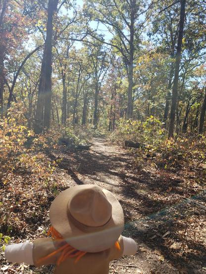 Ranger Sarah hikes down the Fire Tower Trail. The fall leaves are brown due to a drought in Southwest Missouri.
— at Roaring River State Park, Missouri.
