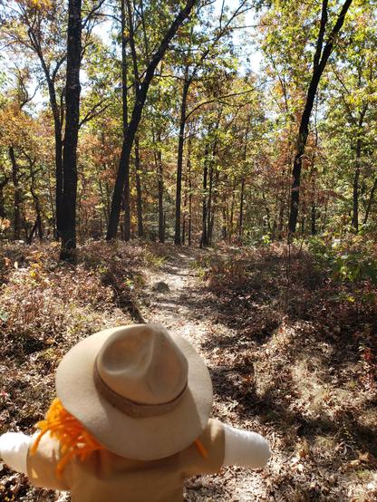 Ranger Sarah continues hiking through the forest on the Fire Tower Trail.
— at Roaring River State Park, Missouri.
