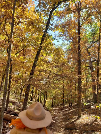 Ranger Sarah enters an area that must have more water as she gets to see some of the fall colors. The light traveling through the yellow leaves really brightens things up.
— at Roaring River State Park, Missouri.
