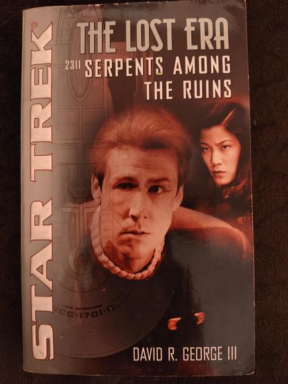 Star Trek Buch The Lost era, Serpents among the ruins