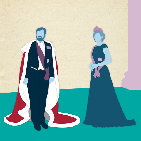 Koning Willem-Alexander en koningin Maxima in pastelkleurig silhouet