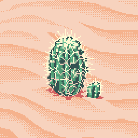 3/4 view of two cacti; one is larger and one is smaller. They are growing on a sand dune.