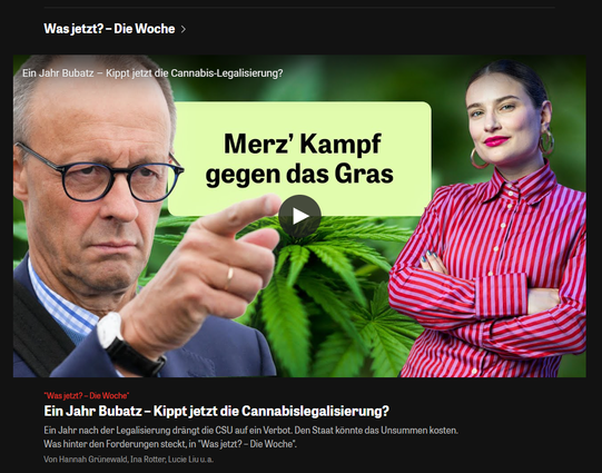 Friedrich Merz kämpft gegen das "Gras"!!! WAR'UM???