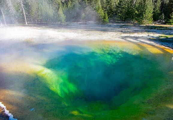 A vividly colored geothermal pool in Yellowstone National Park, with a deep blue center fading into rings of green, yellow, and orange. Light steam rises from the surface, and a forest of pine trees surrounds the area in the background.