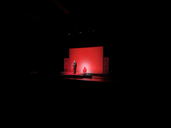 Stephan Eicher, spectacle au Théâtre du Rond Point à Paris.