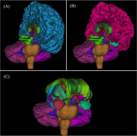 Deep learning-based automatic segmentation of brain structures on MRI: A test-retest reproducibility analysis. Computational and Structural Biotechnology Journal, DOI: https://doi.org/10.1016/j.csbj.2025.04.007