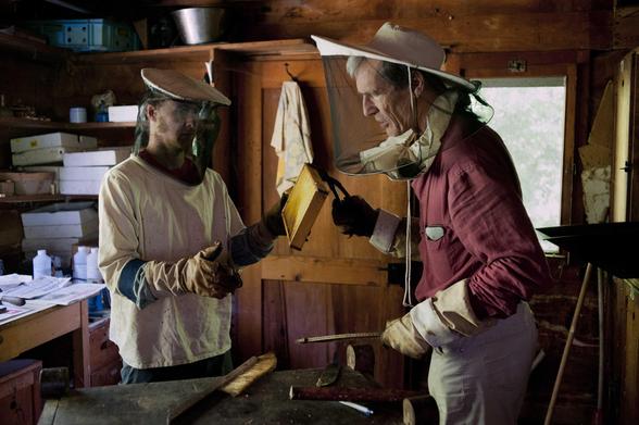Deux hommes récoltent du miel dans une cabane en bois. Ils portent des gants et des couvre-chefs avec un voile qui les protègent des piqures. Ils se font face. L’homme à droite de l’image tien entre les doigts d’une pince un cadre de ruche (chassis).