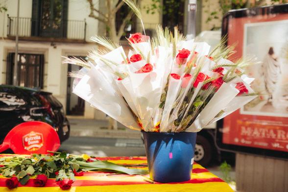 Fotografía de un cubo con rosas en uno de los puestos de Sant Jordi en Mataró. Bajo el cubo hay una bandera catalana y rosas, detrás se ve un cartel publicitario de Semana Santa en Mataró y una silla de plástico roja.
Photograph of a bucket of roses at one of the Sant Jordi stalls in Mataró. Beneath the bucket is a Catalan flag and roses, and behind it is a poster advertising Holy Week in Mataró and a red plastic chair.