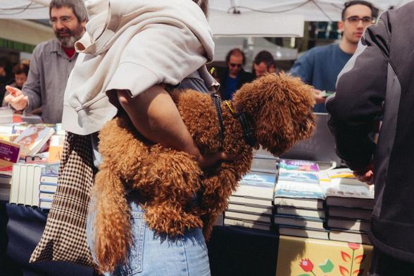Fotografía de un perro sujeto bajo el brazo de una persona frente a un puesto de libros de Sant Jordi en Mataró.
Photograph of a dog held under a person's arm in front of a Sant Jordi book stall in Mataró.