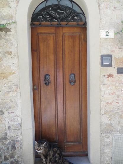 A cat waiting in front of a door for somebody to help her or him in.

Eine Katze wartet auf jemand, der oder die die Tür öffnet.