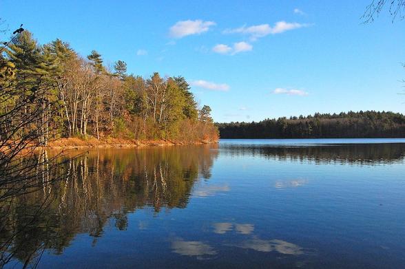 A view of the Walden pond with trees along the shoreline, blue sky, and clouds reflected in the water on a clear day.