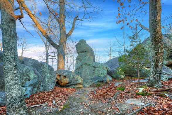 A serene forest scene features large boulders scattered among tall, leafless trees under a vibrant blue sky.