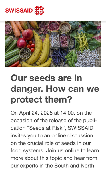📢 On the occasion of the release of the publication “Seeds at Risk”, SWISSAID invites you to an online discussion on the crucial role of seeds in our food systems  🆕 New Report #SeedsAtRisk 🌱 +infos: https://www.swissaid.ch/en/articles/our-seeds-are-in-danger-how-can-we-protect-them  #UNDROP #Seeds #RightToSeeds