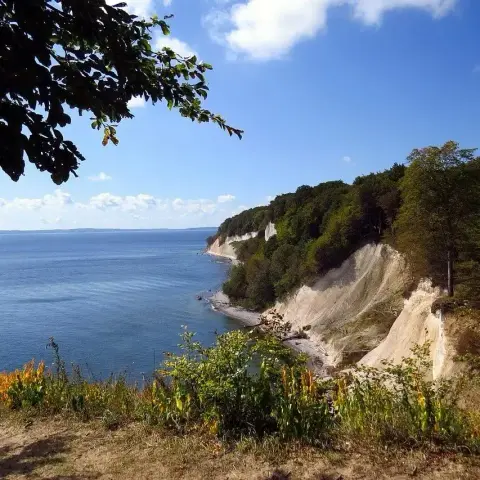 Nationalparks in Mecklenburg-Vorpommern: Natur pur erleben