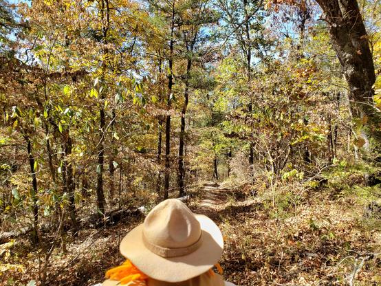 Ranger Sarah hikes through the Ozark forest along the Fire Tower Trail
— at Roaring River State Park, Missouri.
