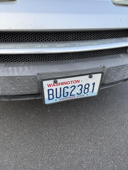 A license plate with ID of BUG2381