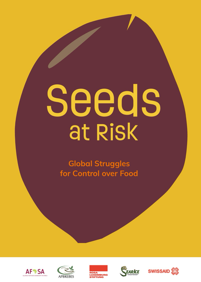 🆕 New Report #SeedsAtRisk 🌱 👉 https://www.swissaid.ch/en/articles/seeds-at-risk  EN | #Seeds at Risk: https://www.rosalux.de/en/publication/id/53302/seeds-at-risk   FR | #Semences en Péril: https://www.swissaid.ch/fr/articles/semences-en-peril  DE | Unser #Saatgut in Gefahr: https://www.swissaid.ch/de/beitraege/unser-saatgut-in-gefahr  ES | #Semillas en Riesgo: https://swissaid.kinsta.cloud/wp-content/uploads/2025/04/SemillasEnRiesgo_SPA_web2-final.pdf  #UNDROP #RightToSeeds