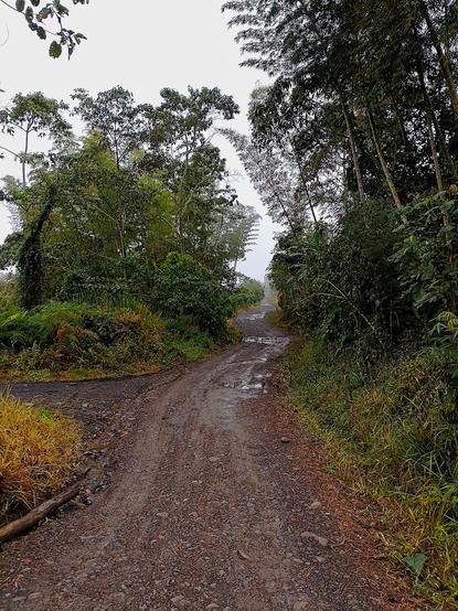 Paths (Front View).
#Blackside #earthnow #elitepix #fotomasters #FrontView #hey_ihadtosnapthat #imagehub #Nature #Outdoors #picplanet #pictas #rebel_sky #rebels_united #ScenicsNature #Snap_allnature #Snap_alltrees #Snap_community #Snap_community_member #Snap_country #Snap_depthoffield #Snap_foggy  #Snap_landscape #Snap_skies #vero #verofamily #verofriends #verotography