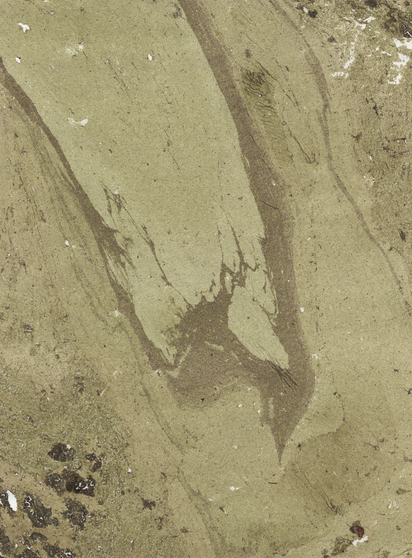 Natural green algae on watercolor paper taken directly from a pond. 