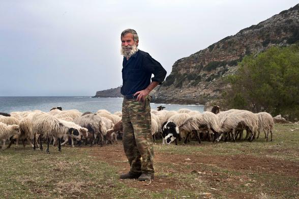 Un berger barbu, au pantalon militaire, pose devant son troupeau. Derrière lui, un pan rocheux vient s’échouer dans Méditerranée. Le ciel est gris clair, uniforme.