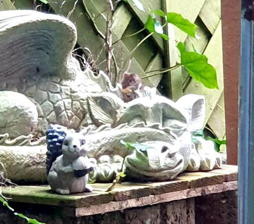 Eine Maus sitzt auf einer liegenden Drachenfigur aus weißem Kunststein. Davor steht eine Eichhörnchen-Figur aus Keramik. Die Maus hat einen Cashewkern im Mäulchen und hält sie mit ihren Pfoten.