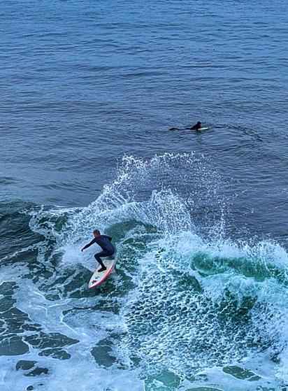 Surfer cutting back on a decent sized wave with a large rooster tail of spray.