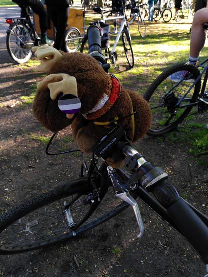 Plüsch-Elch Gunvald auf dem Fahrradlenker in einem sonnigen Park. Im Hintergrund weitere Fahrräder. 
