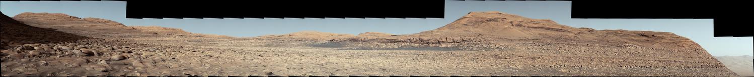 An ochre toned mosaic capturing a Martian landscape. 

NASA's Curiosity Mars rover used its Mast Camera, or Mastcam, to capture this panorama in morning light on March 9, 2025, the 4,476th Martian day, or sol, of the mission. Steep hills on the left side of the panorama enclose wind-carved valleys on Mount Sharp, the mountain that Curiosity has been climbing for over a decade. Broken-up, rounded rocks throughout the foreground are part of the mountain's sulfate-bearing unit.

The butte in the distance at right is nicknamed "Gould Mesa." A band of cliffs and dark ridges near the top of the butte may be the first glimpses of boxwork formations, a kind of feature created by groundwater flowing through large bedrock fractures in the ancient past. Assuming that is how they formed, these could represent the last gasps of water found on this region of Mars before the planet dried out completely.

Before now, these features had only been viewed from orbiting spacecraft, to which they appeared as spiderweb-like fractures. This pattern of fractures stretches as long as 6 to 12 miles (10 to 20 kilometers) across the side of Mount Sharp. The rover's team expects to study these formations up close throughout the rest of 2025.

The color in these images has been adjusted to match lighting conditions as the human eye would see them on Earth.