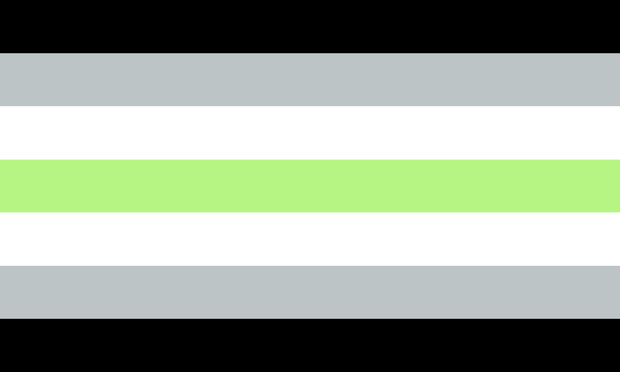 Die Agender Pride Flagge mit sieben Streifen, in schwarz, grau, weiß und hellgrün