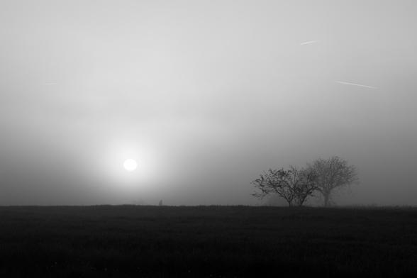 Photo noir et blanc d'un levé de soleil en Charente - France