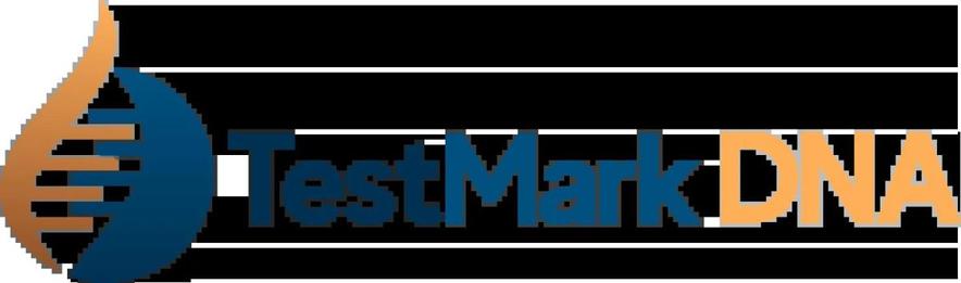 Newsramp Image